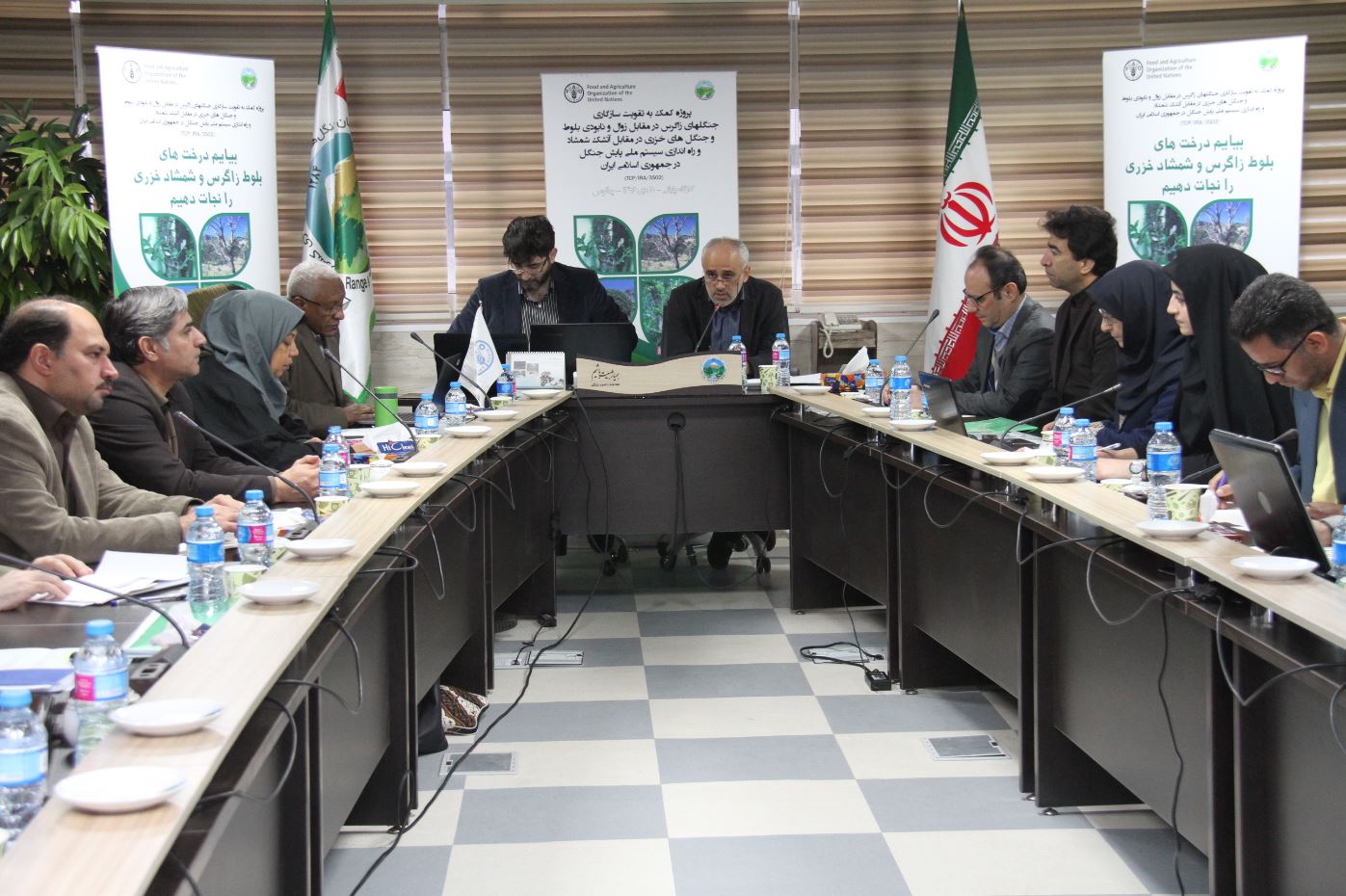 fao-urges-further-actions-to-save-oaks-and-boxwood-trees-of-iranian-forests