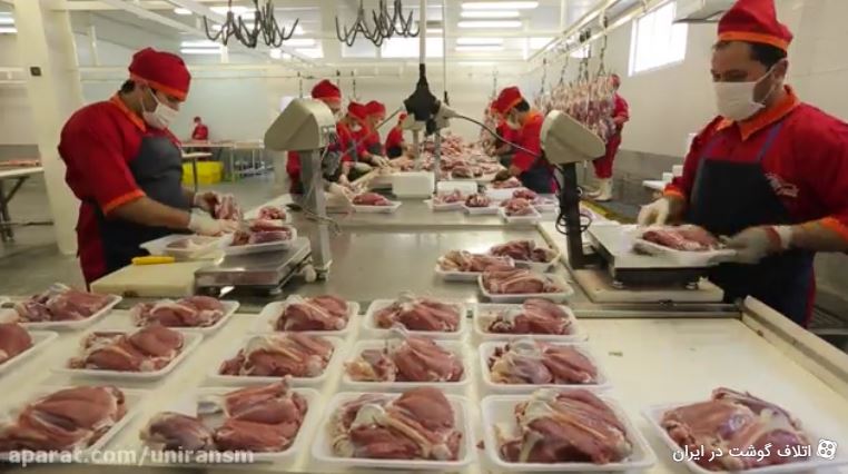 fao-iran-office-released-a-video-clip-on-meat-loss