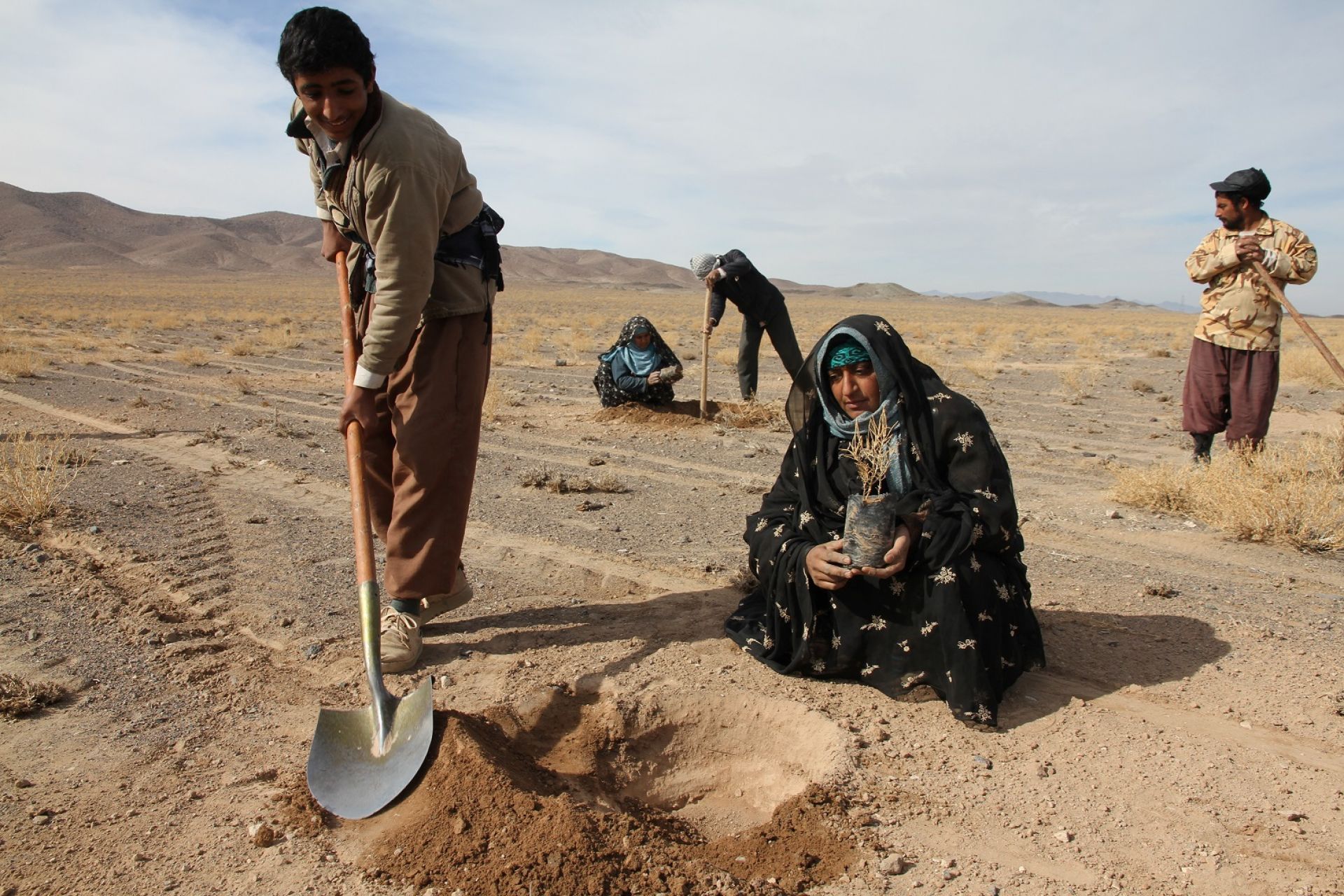 iran-and-undp-strengthen-efforts-to-combat-desertification