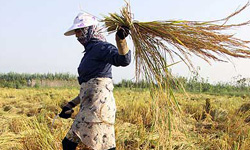 progress-for-all-by-investing-in-well-being-of-rural-women-guterres